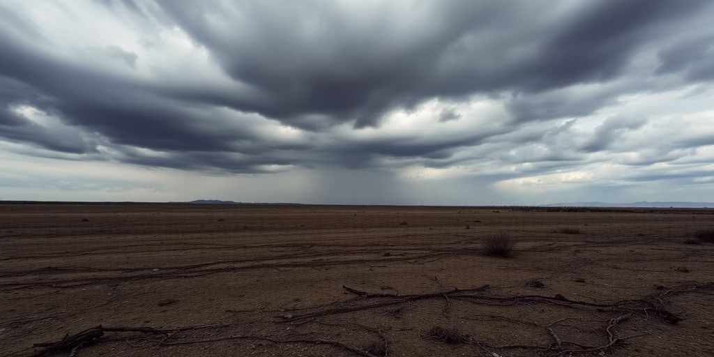 A desolate landscape under a harsh sky.